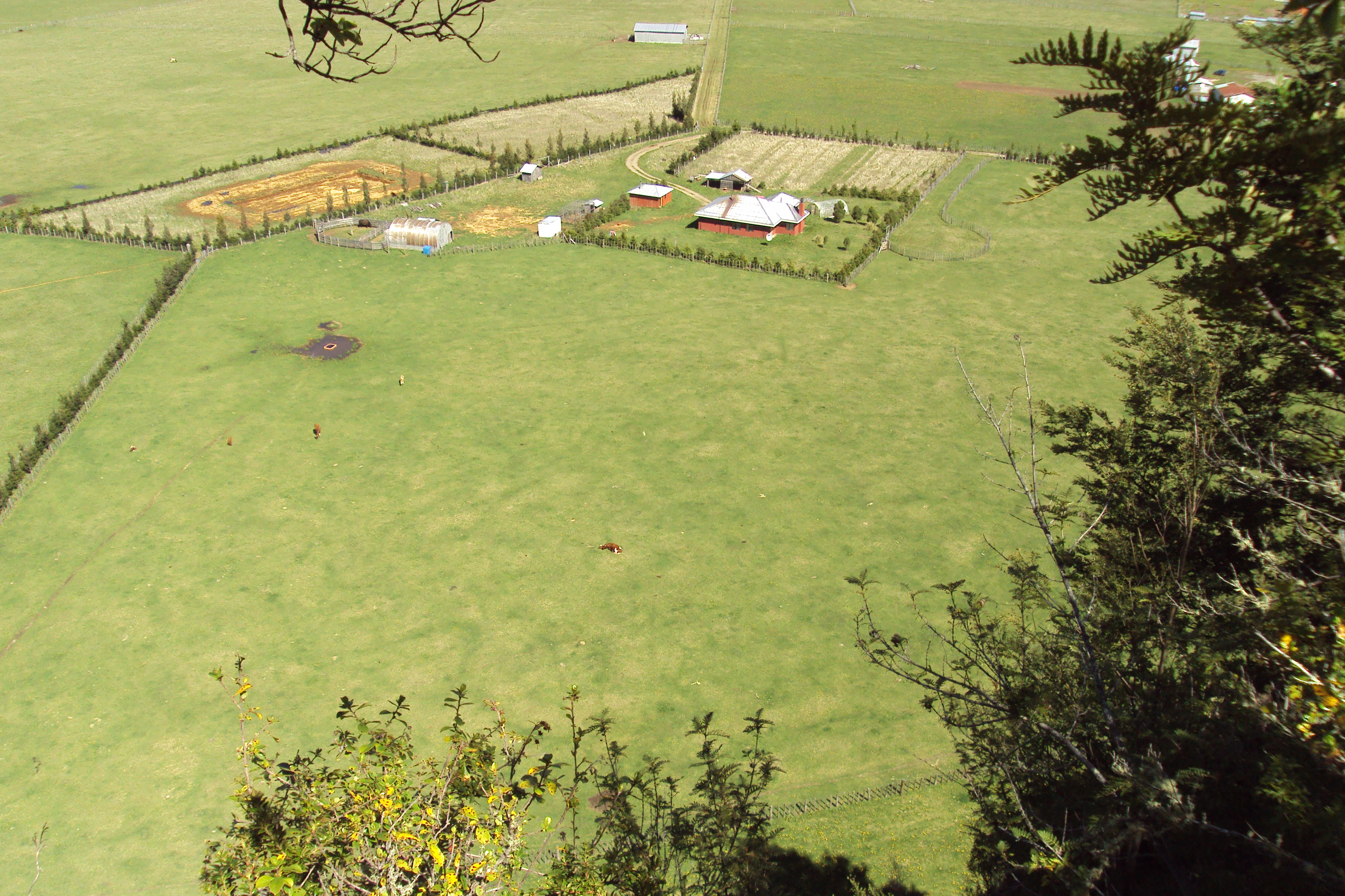 Vista aérea del valle sobre el Fundo La Pampita, 2014, Manihuales, Aysén